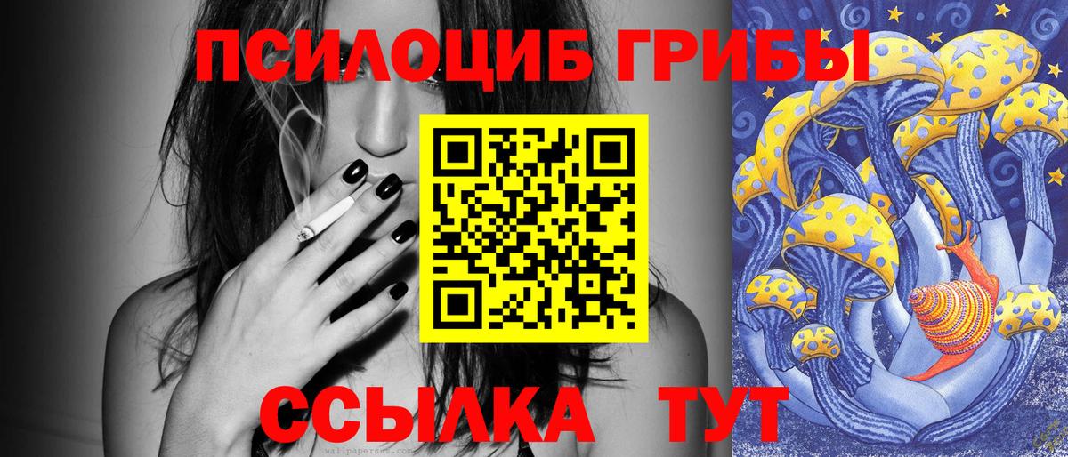 Галлюциногенные грибы мицелий  Вход с VPN  Галлюциногенные грибы GOLDEN TEACHER  Гусиноозёрск 