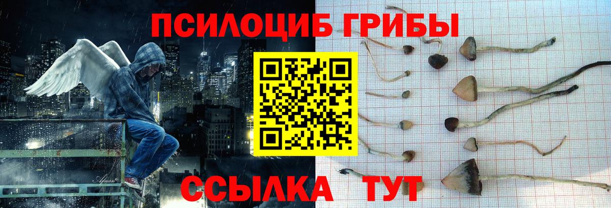 Галлюциногенные грибы ЛСД Гусиноозёрск